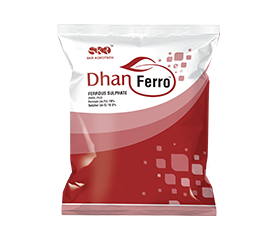 DHAN FERRO (Ferrous Sulphate)