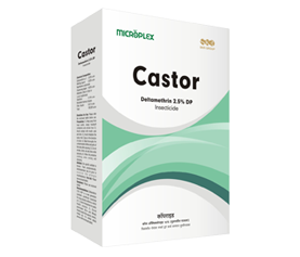 CASTOR