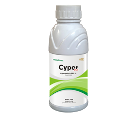 CYPER PLUS