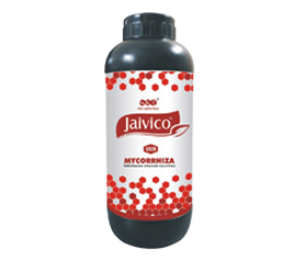 JAIVICO MYCORRHIZA