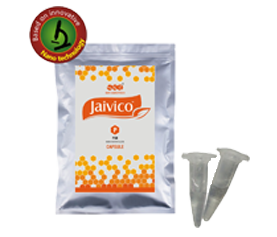 JAIVICO PHOSPHATE SOLUBILIZING BACTERIA CAPSULE