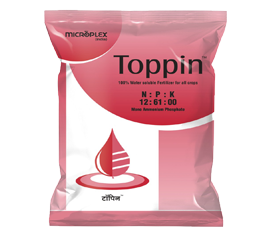 TOPPIN MONO AMMONIUM PHOSPHATE