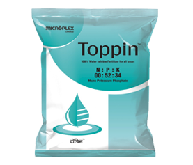 TOPPIN MONO POTASSIUM SULPHATE